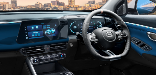 Multifunction Steering Wheel